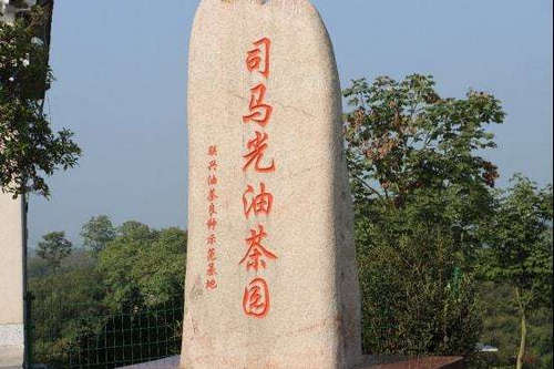 司马光油茶生态示范基地.jpg