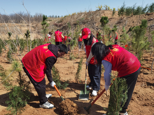 郑州义务植树活动.jpg