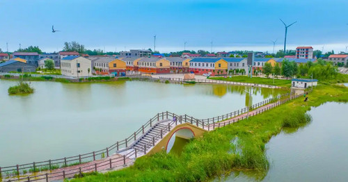 兰考美丽乡村.jpg